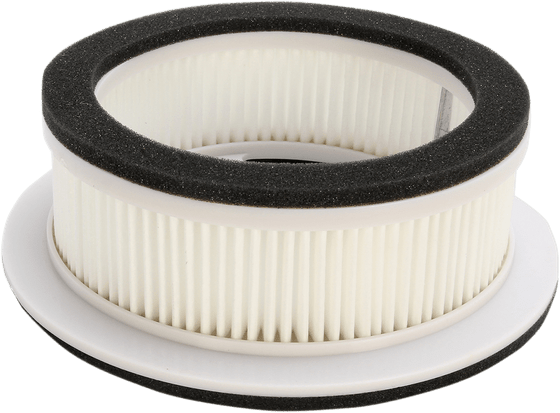 XP 500/530/560 T-MAX (2012 - 2022) air filter | Hiflofiltro