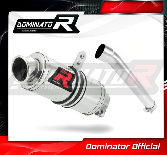 FZR 1000 (1991 - 1994) exhaust silencer gp1 | Dominator