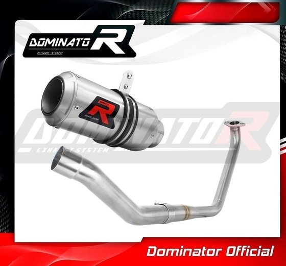 YZF R 125 (1970 - 2022) full exhaust system silencer gp | Dominator