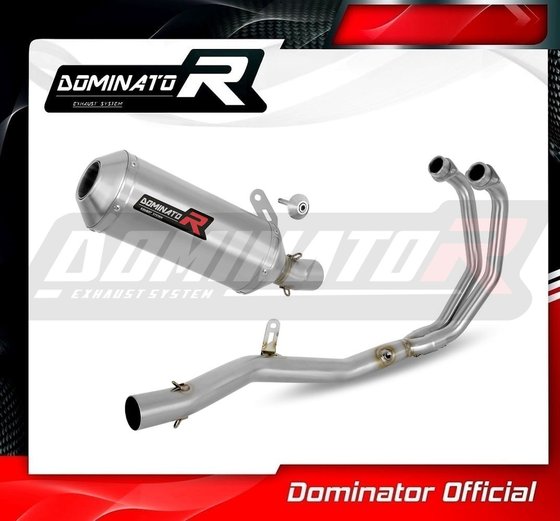 YZF R3 (1970 - 2022) full exhaust system silencer ov g2 | Dominator