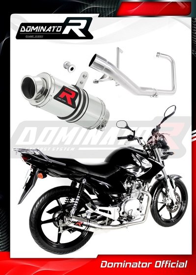 YBR 125 (2009 - 2018) exhaust full system silencer gp1 | Dominator