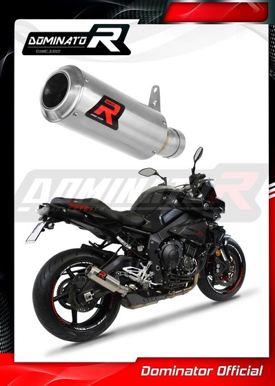 MT 10 (2016 - 2020) exhaust silencer gp | Dominator