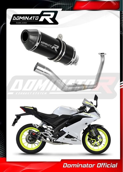 YZF R 125 (1970 - 2022) full exhaust system silencer hp3 black | Dominator