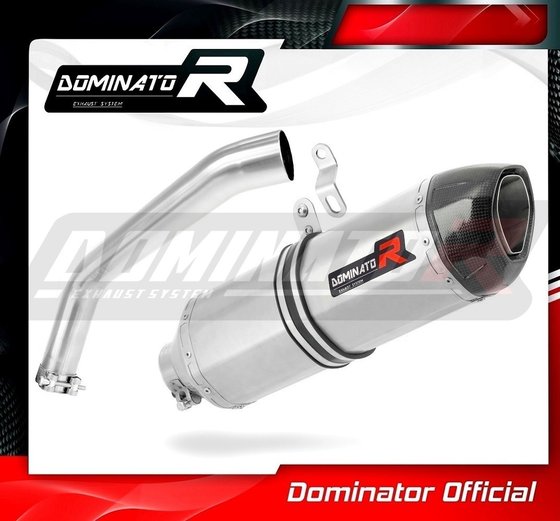 XTZ 1200 SUPER TENERE (2010 - 2016) exhaust silencer hp1 | Dominator