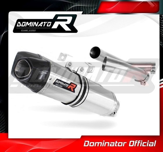 YZF R1 (2009 - 2011) exhaust silencer hp1 | Dominator