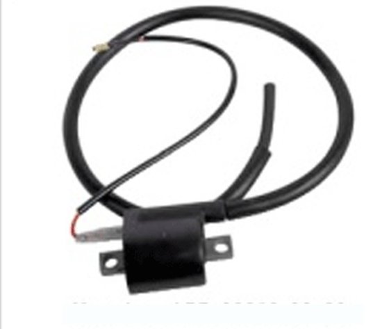 YFM 700 KODIAK (2016 - 2022) ignition coil | NACHMAN